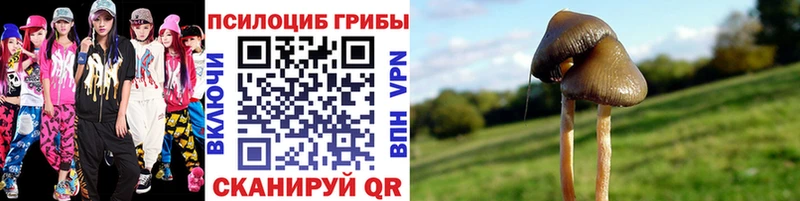 МЕГА ссылка  Кстово  Псилоцибиновые грибы прущие грибы  цена наркотик 